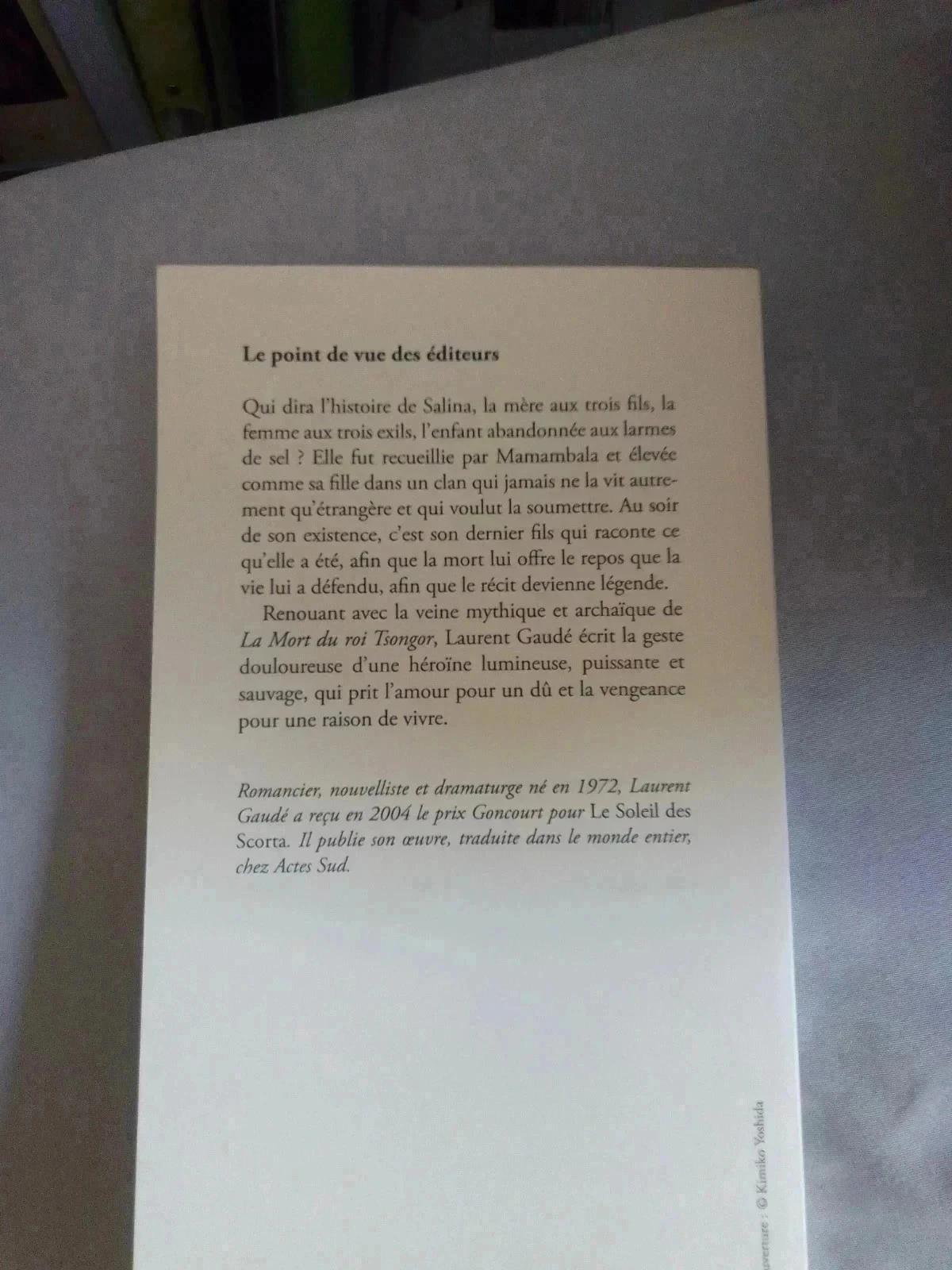 Salina – photo 2